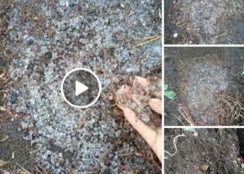 Saat Musim Kemarau, Hujan Es Juga Guyur Kerinci