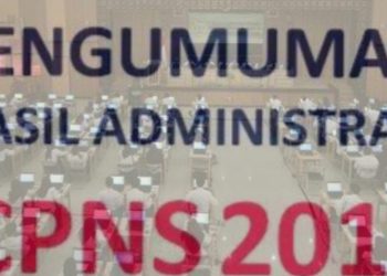 Ini Nama Yang Lulus, Hasil Seleksi Administrasi CPNS 2019 Kota Sungai penuh