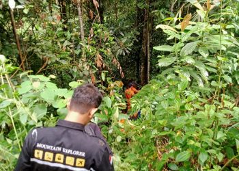 Kakek Sidi Warga Ambai yang Hilang di Ladangnya Belum Ditemukan, Area Pencarian Diperluas