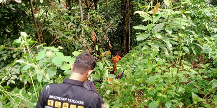 Kakek Sidi Warga Ambai yang Hilang di Ladangnya Belum Ditemukan, Area Pencarian Diperluas