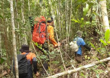 Sepekan Hilang, Proses Pencarian Kakek Saidi yang Hilang di Ladang Kayu Manis Dihentikan