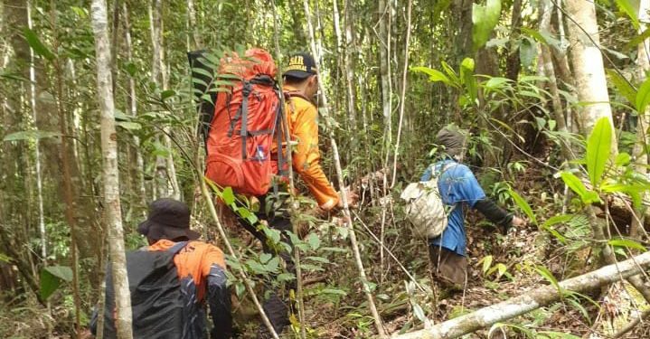 Sepekan Hilang, Proses Pencarian Kakek Saidi yang Hilang di Ladang Kayu Manis Dihentikan