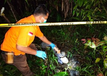 Tengkorak Manusia Yang Ditemukan di Ladang Warga Renah Pemetik Diduga ODGJ