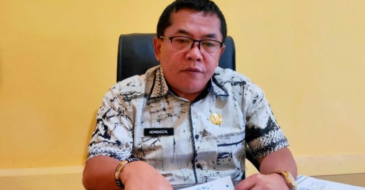 Hermendizal : Dinkes Kerinci Targetkan Turunkan Prevalensi Stunting 18 Persen Tahun Ini