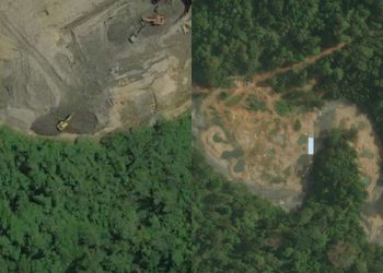 5 Penambang Emas di Kawasan Hutan Adat Depati Muara Langkap Diamankan Polisi