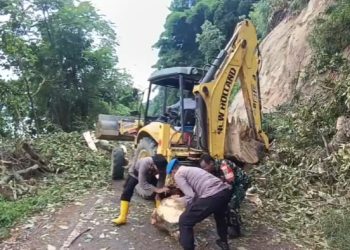 Peduli Keselamatan, Polsek Danau Kerinci Bersama Warga Tumbangkan Pohon Tua di Pinggir Jalan