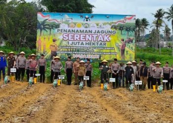 Gubernur Al Haris Bersama Kapolda Ikut Tanam Jagung Serentak 1 Juta Hektar