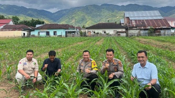 Kapolres Kerinci Tinjau Perkembangan Tanaman Jagung di Polsek Air Hangat