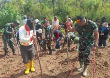 Gencarkan Penanaman Padi Gogo, Kodim 0417/Kerinci Akan Membantu Petani Semaksimal Mungkin