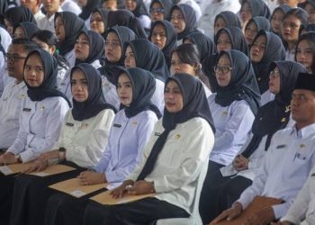 Aturan Gaji Non-ASN Selama Masa Transisi Jadi PPPK, Diangkat Maret 2026