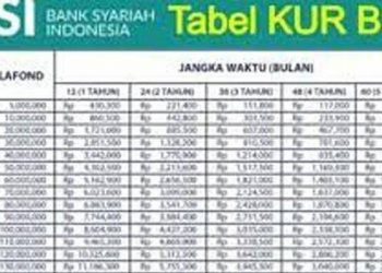 Kabar Gembira! KUR BSI 2025 Tawarkan Pinjaman Hingga Rp50 Juta, Cicilan Mulai Rp216 Ribu