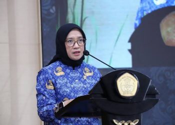 Pengangkatan CPNS dan PPPK Diundur, Ini Penjelasan Menpan RB