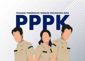 PPPK Honorer 2025: Apakah Semua Akan Diangkat?