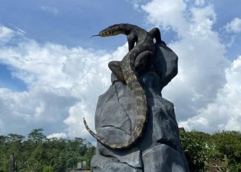Viral..!! Patung Biawak dengan Biaya Rp50 Juta di Wonosobo, Jawa Tengah