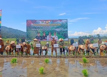 Gelar Penanaman Padi Serentak, Dandim Eko Budiarto: TNI Siap Berperan Aktif Mewujudkan Ketahanan Pangan