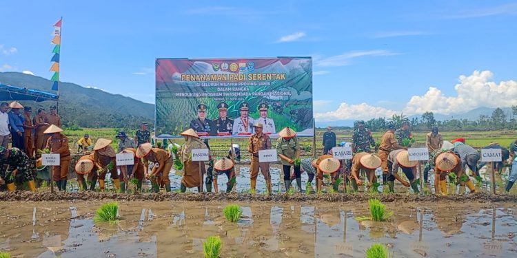 Gelar Penanaman Padi Serentak, Dandim Eko Budiarto: TNI Siap Berperan Aktif Mewujudkan Ketahanan Pangan
