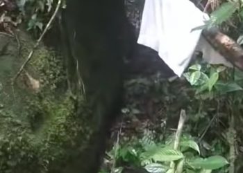 Heboh Video Penemuan Baju Milik Wira, Begini Penjelasan Pihak Keluarga