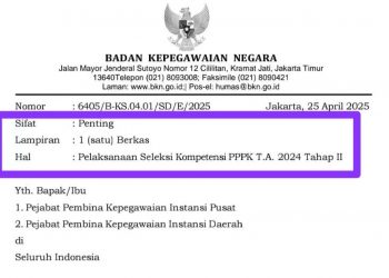 Resmi: Jadwal Tes PPPK Tahap 2 Tahun 2025 Diundur, Ini Alasan BKN dan Daftar Lokasi Terbarunya