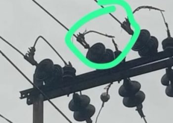 Kabel Listrik Putus Dibiarkan, PLN Sungai Penuh Disorot Warga