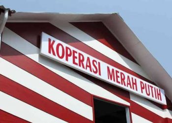 Resmi Diluncurkan Hari Ini, Koperasi Merah Putih Jadi Pilar Digitalisasi UMKM Nasional
