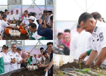 Panen Perdana Benih Kentang G0, Bupati Monadi: Ini Lompatan Besar untuk Petani Kita