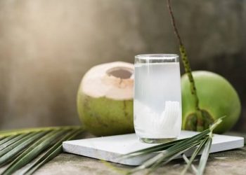 Rahasia Segar Air Kelapa: 7 Khasiat Kesehatan yang Didukung Penelitian