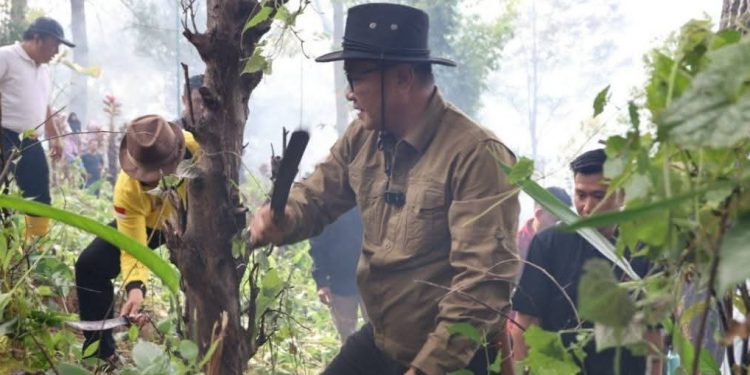 Revitalisasi Objek Wisata, Wako Alfin & Wawako Azhar Goro di Taman Bunga Terlantar