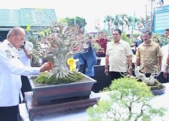 Ketua DPRD Hutri Randa Hadiri Pameran & Kontes Bonsai Nasional 2025