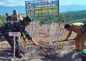 Hijaukan Bukit Runcing, Kodim 0417/Kerinci dan Warga Bersatu Wujudkan Alam Lestari
