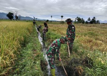 TNI Bantu Olah Lahan Petani, Kodim 0417/Kerinci Gelar Opla di Desa Air Teluh