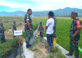 Tinjau Lahan Opla Sektor 3 dan 7, Dandim Eko Budiarto: Tegaskan Komitmen Jaga Lingkungan dan Dukung Pertanian