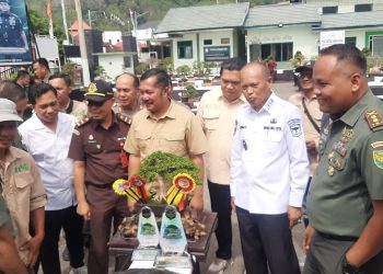 Kontes Bonsai Perebutkan Piala Dandim 0417/Kerinci Bikin Decak Kagum