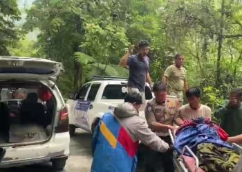 Mobil Bermuatan Kelapa Masuk Jurang di KM 38 Jalur Puncak Tapan-Sungai Penuh, Dua Tewas di Tempat