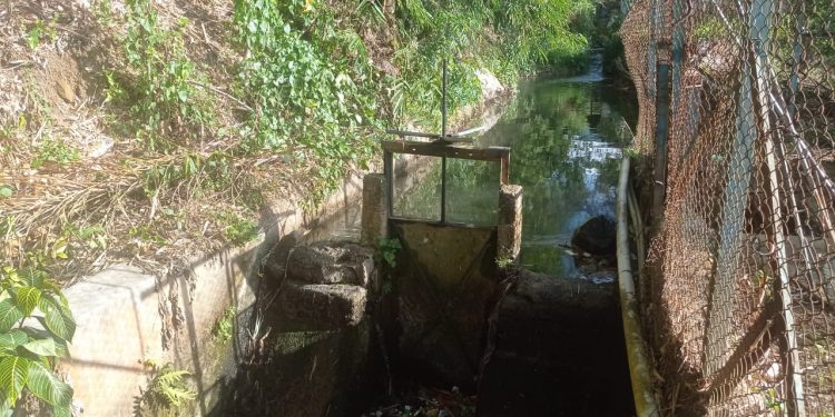 Ratusan Sawah di Pondok Tinggi Kekeringan, Saluran Irigasi Ditutup Perumda Tirta Khayangan