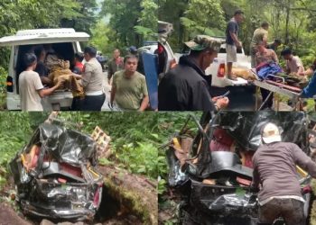 Pikap Bermuatan Kelapa Masuk Jurang, Dua Tewas di Tempat