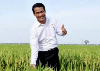 Hari Ini Mentan Andi Amran Akan Kunker ke Kerinci