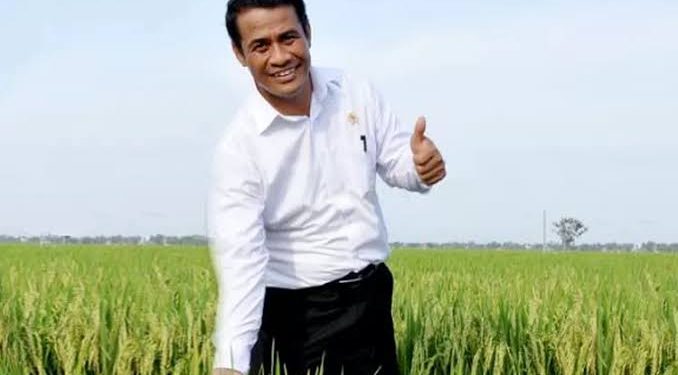 Hari Ini Mentan Andi Amran Akan Kunker ke Kerinci