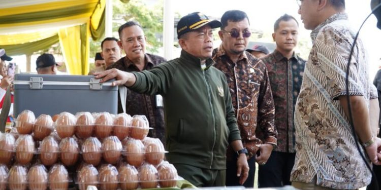 Gubernur Jambi, Al Haris: Pangan Murah Wujud Nyata Kehadiran Pemerintah