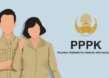PPPK Paruh Waktu, Skema Baru ASN dengan Jam Kerja Fleksibel