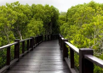 “Liburan Asyik Nggak Harus Mahal! Ini 4 Wisata Alam Murah di Tegal yang Wajib Kamu Kunjungi”