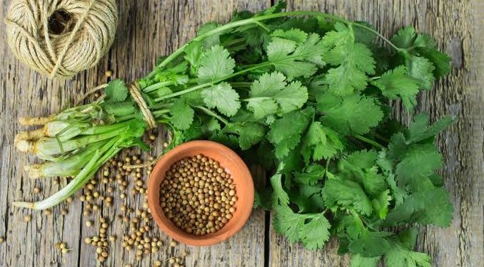 Langsing Alami Tanpa Ribet! Ini 7 Rebusan Daun yang Ampuh Bakar Lemak Perut