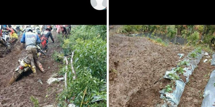 Lahan Cabe dan Kentang Rusak Akibat Trail Adventure Jelasak, Panitia Baru Janji Bertanggung Jawab