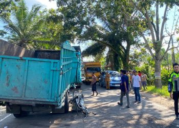 Kecelakaan Dua Truk di Jalan Lintas Jambi–Muara Bulian: Satu Luka Berat