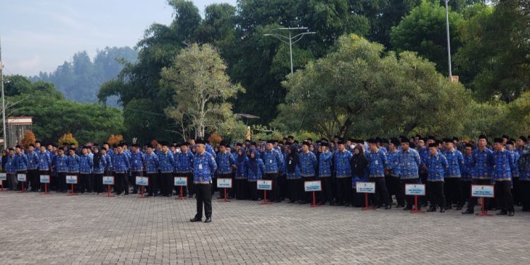 Kelulusan PPPK Paruh Waktu 2025 Resmi Diumumkan