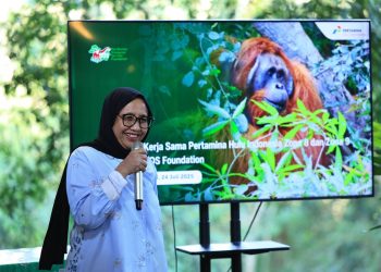 BGN Soal Hiu Goreng Jadi Menu MBG: Apakah Ini Kearifan Lokal atau Bahaya Pangan?