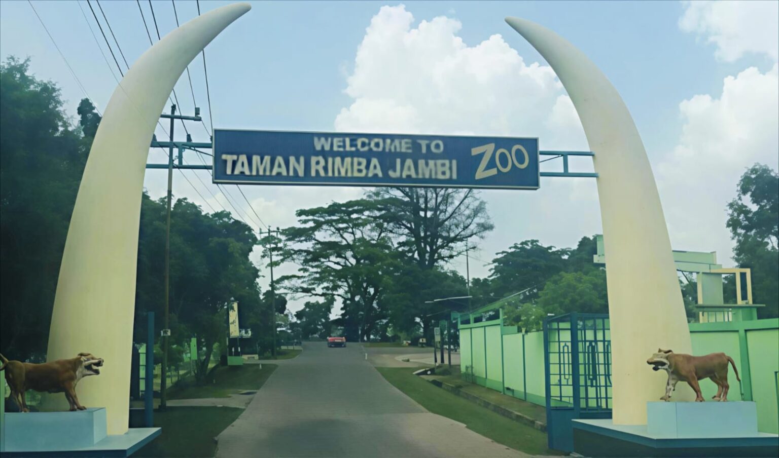 Ayo Berwisata ke Taman Rimba, Lihat Harimau Benggala dan Singa Afrika!