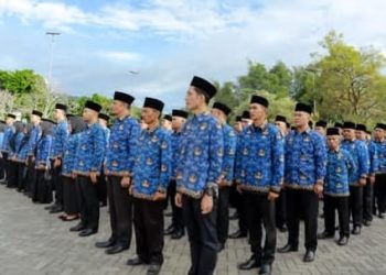 Ini Skema Gaji dan Tunjangan PPPK Paruh Waktu 2025