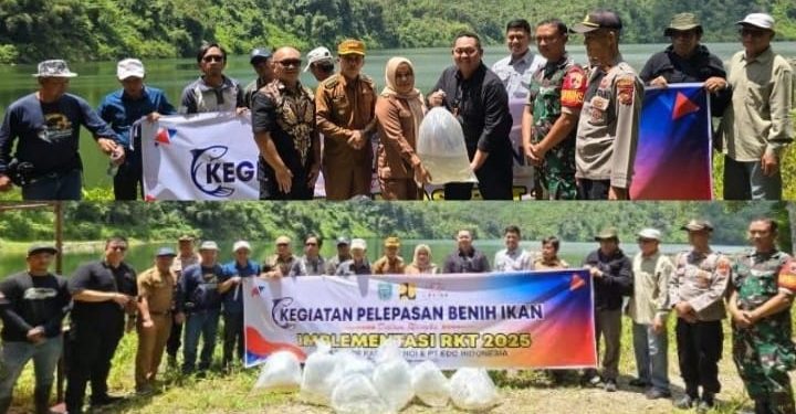 PUPR Kerinci Bersama PT EDC Tebar Ribuan Benih Ikan di Danau Duo