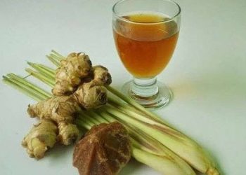 Deretan Manfaat Rebusan Jahe: Minuman Tradisional dengan Segudang Khasiat