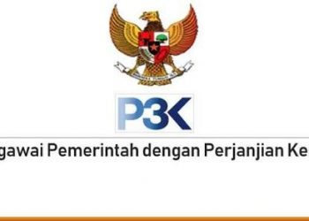 Tahap Lanjutan PPPK Paruh Waktu 2025 Usai Pengisian DRH